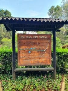 Horto Florestal (Parque Estadual) – Campos do Jordão/SP