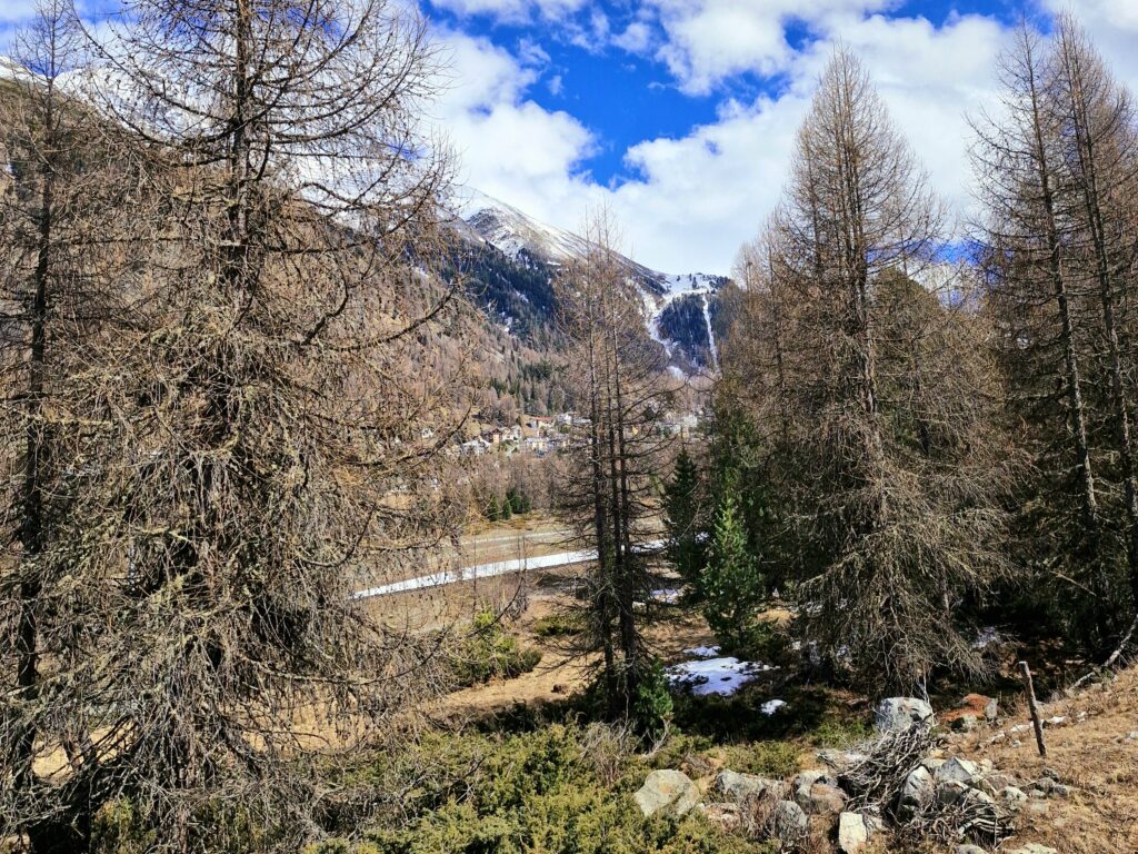 Descida até St. Moritz – Bernina Tirano/Suíça