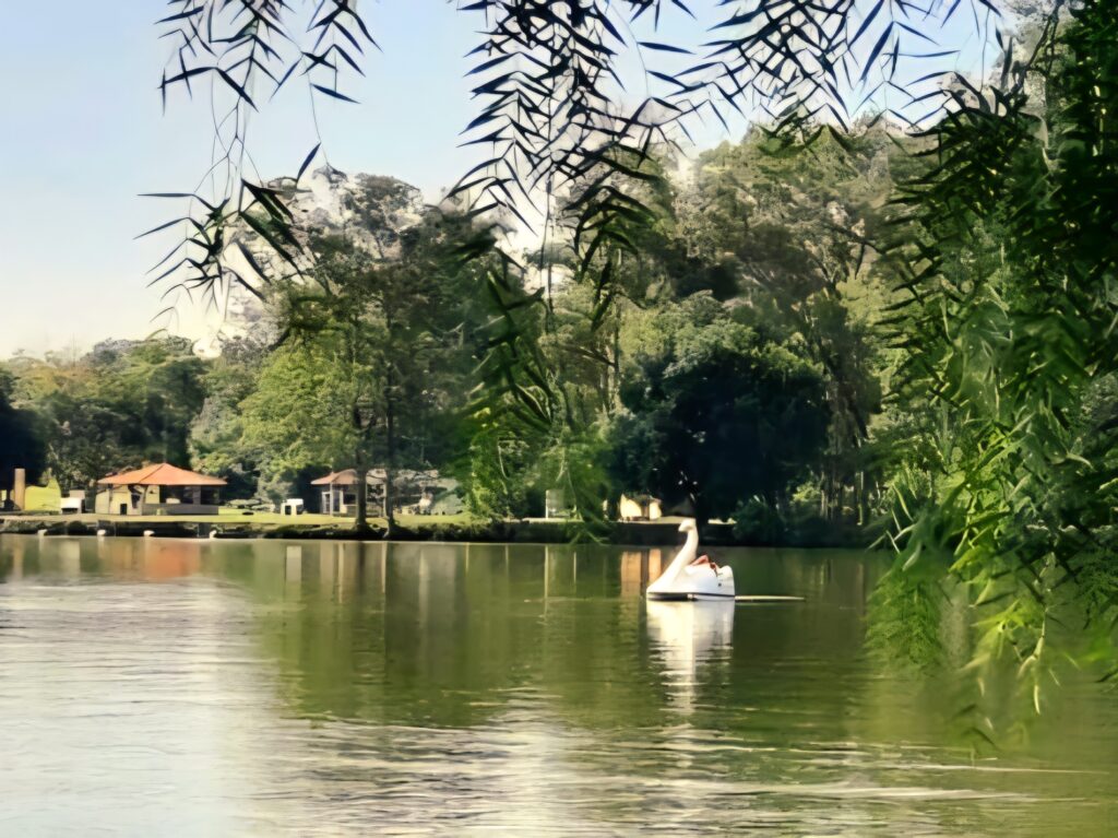 Parque Ecológico do Tietê - Guarulhos/SP