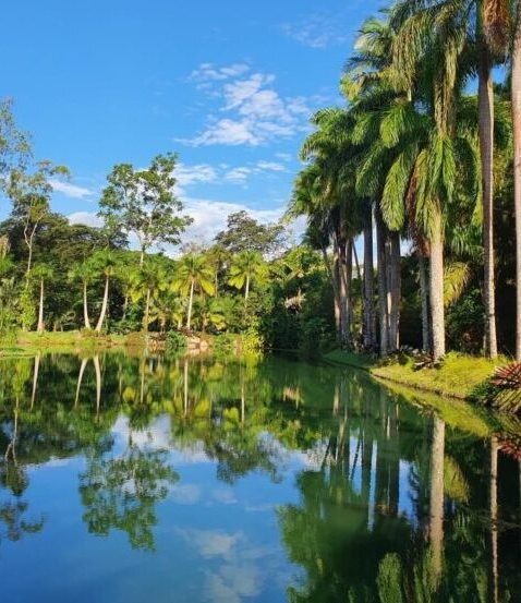 Inhotim. Brumadinho (MG) Brasil: Belo Horizonte (MG): como chegar, quando ir, o que fazer na capital mineira.