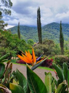 Jardim dos Pinhais Ecco Parque - Santo Antônio do Pinhal – São Paulo