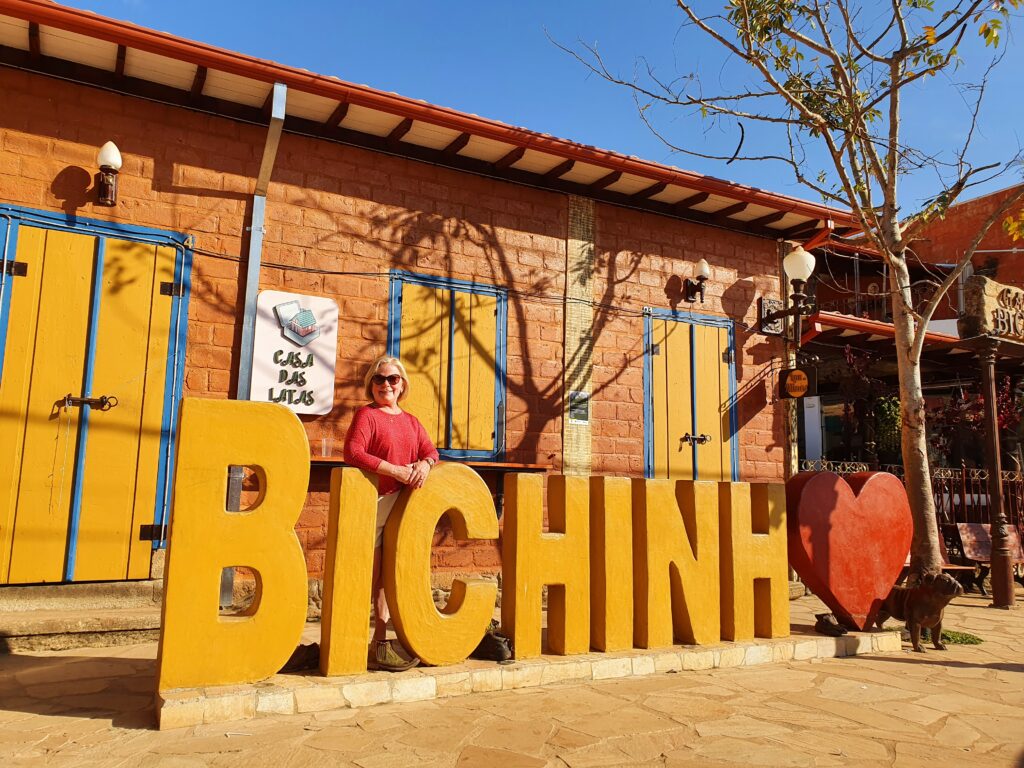 Bichinho/MG Brasil