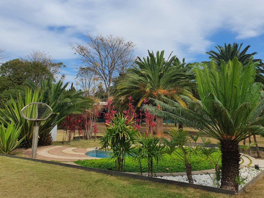 Moema - Ibirapuera São Paulo/SP