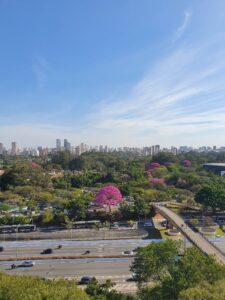 VISTA SÃO PAULO – NO ALTO DO MUSEU DE ARTE CONTEMPORÂNEA: Moema - São Paulo/SP
