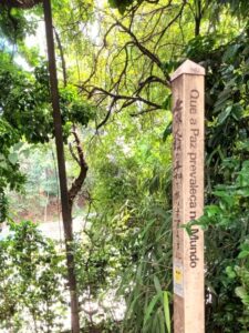 Jardim Oriental da Liberdade - São Paulo/SP