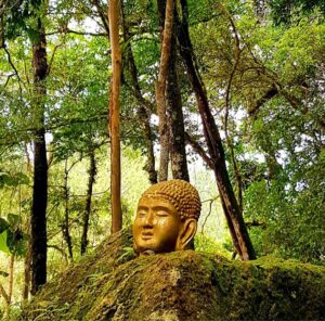 Templo KINKAKU-JI licalizado em Itapecerica da Serra/SP