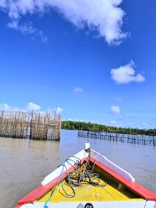 Ilha de Algodoal/PA