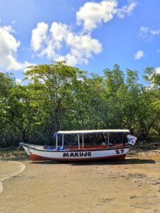 Ilha de Algodoal/PA
