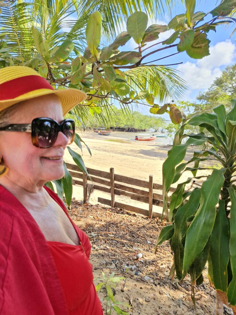 Ilha de Algodoal/PA