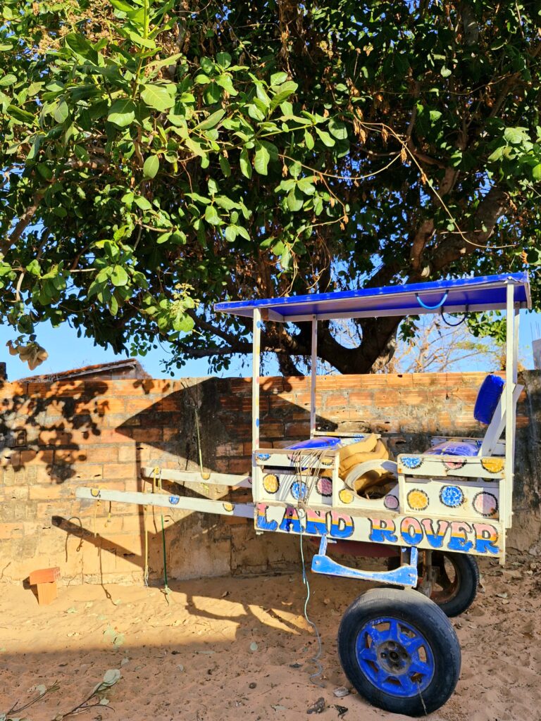 Ilha de Algodoal/PA