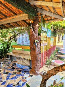 Ilha de Algodoal/PA