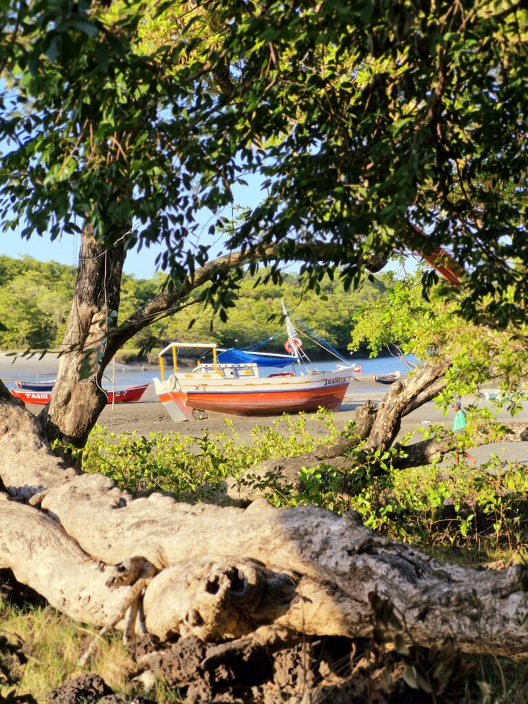 Ilha de Algodoal/PA