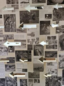 Museu das Culturas Dom Bosco – Campo Grande/MS