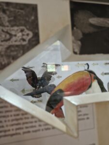 Museu das Culturas Dom Bosco – Campo Grande/MS