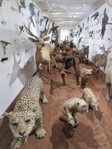 Museu das Culturas Dom Bosco – Campo Grande/MS