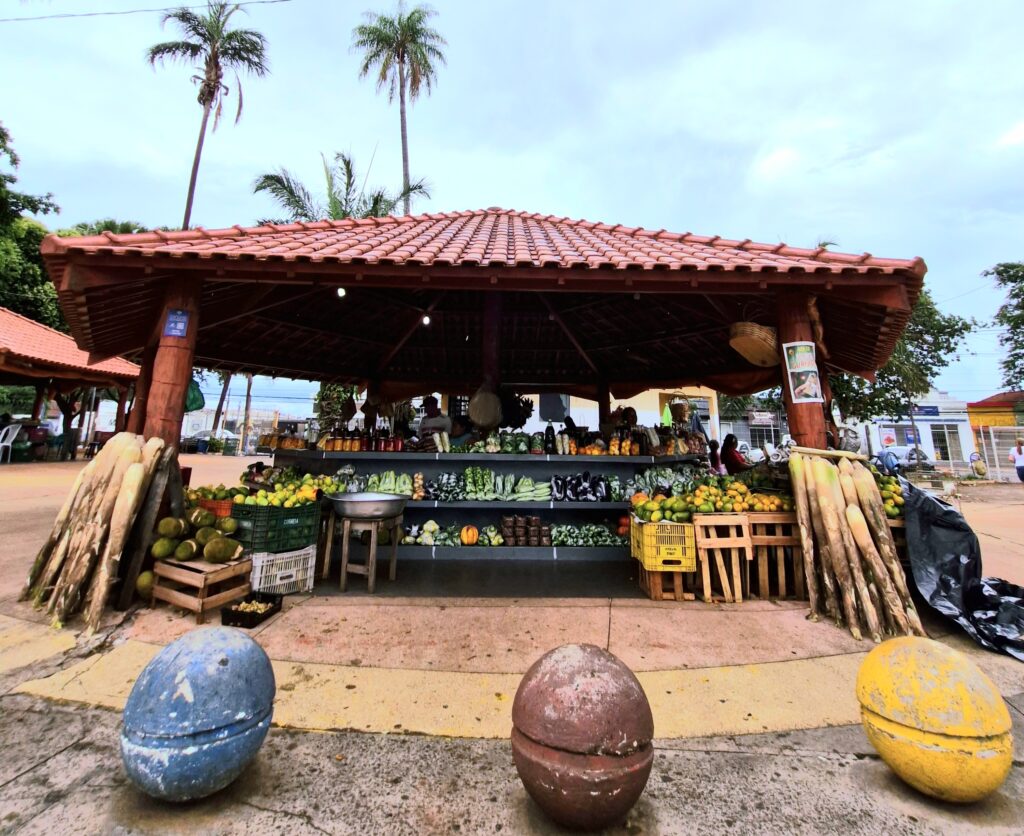 Feira Indígena - Campo Grande/MS