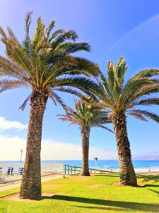 Algarrobo - Santiago do Chile