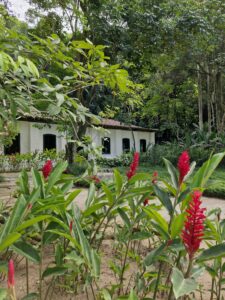Jardim Botânico do Rio de Janeiro 