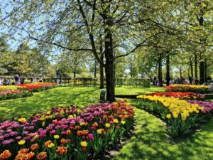 Keukenhof – Amsterdam/Holanda