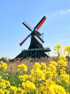 Zaanse Schans – Amsterdam/Holanda