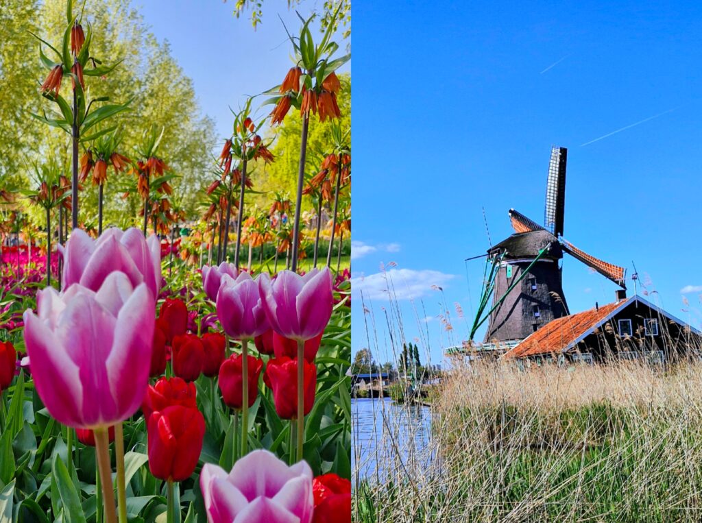 Zaanse Schans e Keukenhof – Amsterdam/Holanda