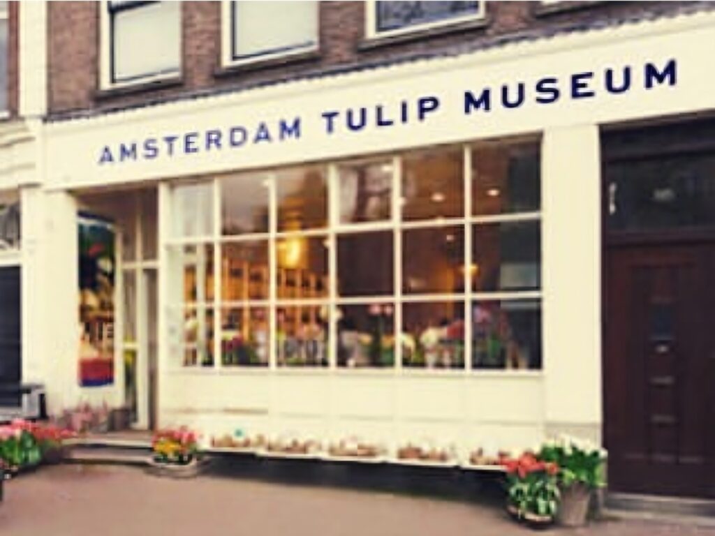 Museu das Tulipas - Amsterdam/Holanda
