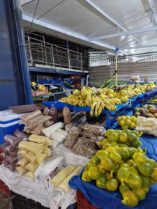 Feira da 304 Sul – Palmas/Tocantins