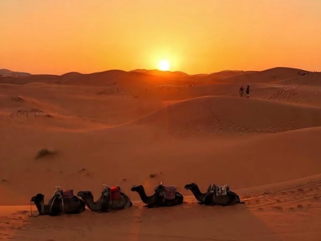 Merzouga - DEserto do Sahara - Marrocos/África
