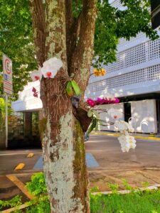 Superquadras 107, 108, 307 e 308 - Brasília/DF - Brasil