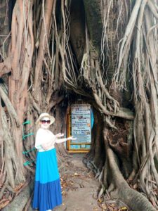 Primeira Banca de Jornal de Brasília - Brasília/DF Brasil