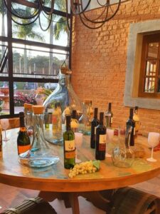 Vinícola Canguera - São Roque/SP