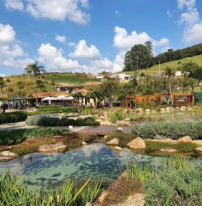 Vinícola Góes – São Roque/SP