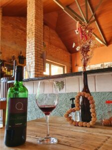 Vinícola Palmeiras - São Roque/SP