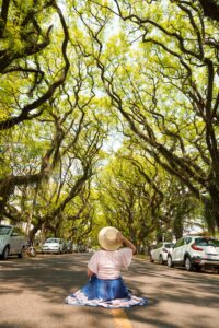 Rua Pedro Basso - Foz do Iguaçu Paraná/PR Brasil