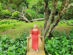 Restaurante Kallas da Serra - Cunha/SP