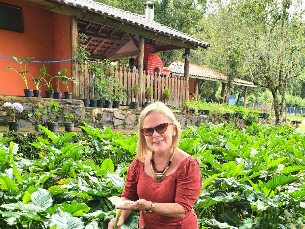 Restaurante Kallas da Serra – Estrada Cunha-Paraty