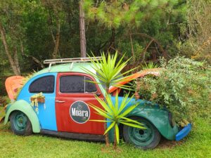 Café Moara - Cunha/SP