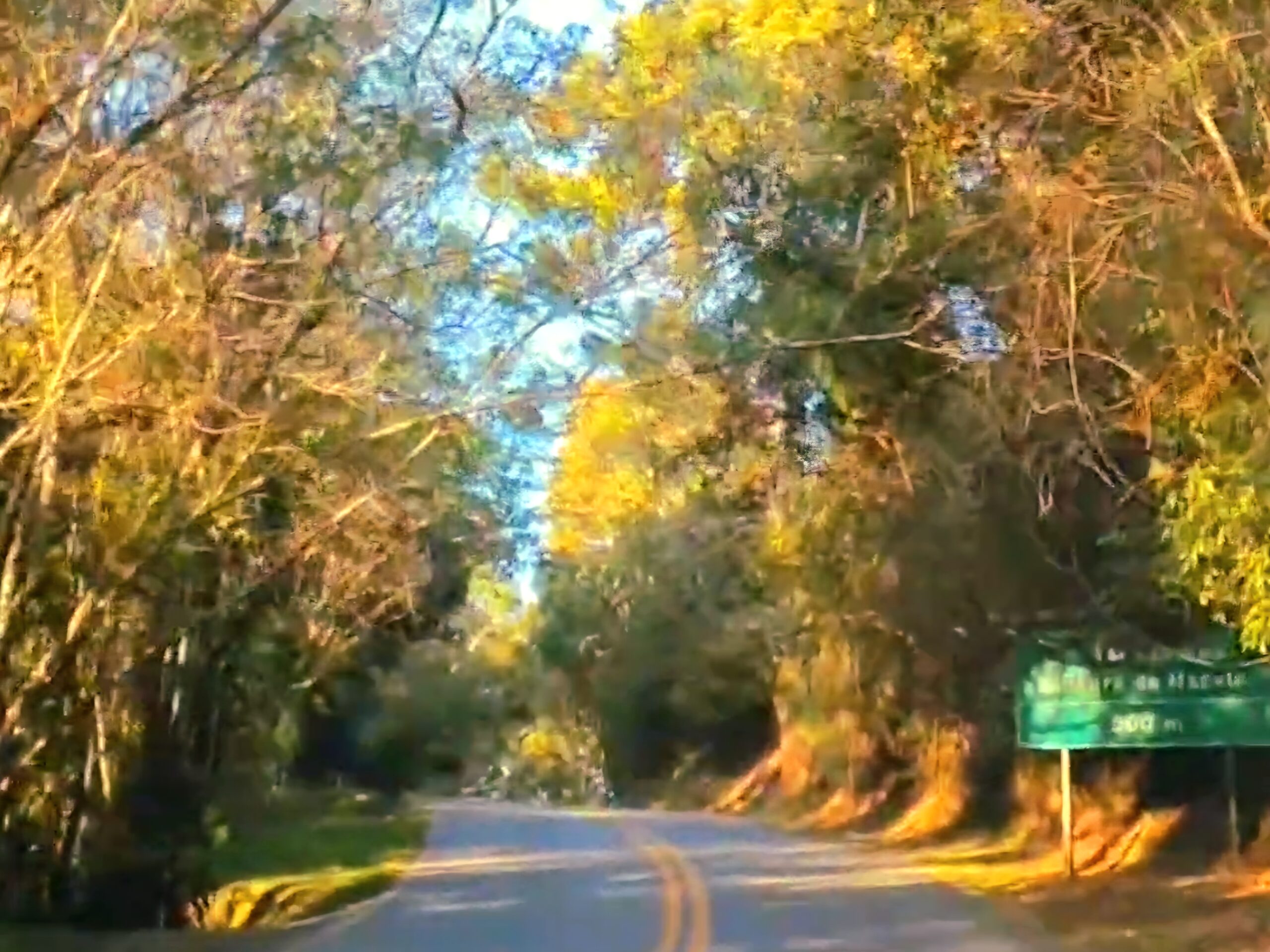 Estrada Cunha Paraty - SP/RJ
