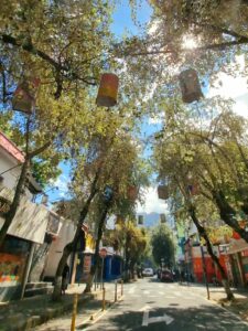 Bairro La Mariscal - QuitoEquador/EC