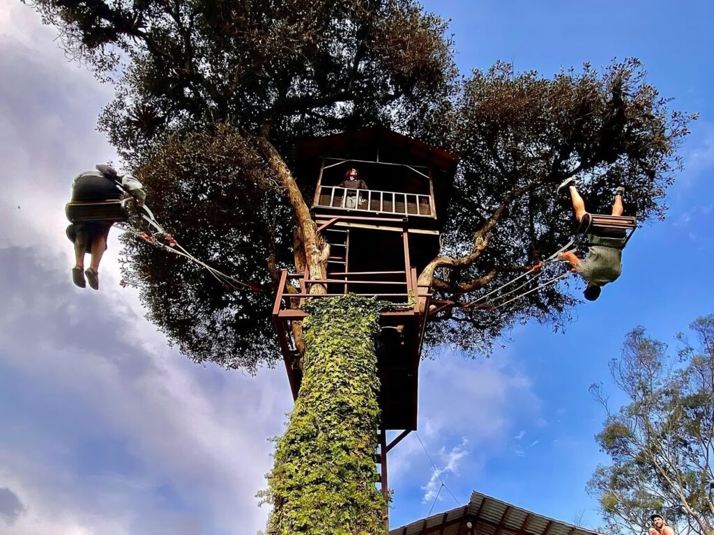 Casa del Árbol Baños de Agua Santa – Equador/EC