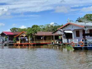 Amazônia - Amazonas/AM