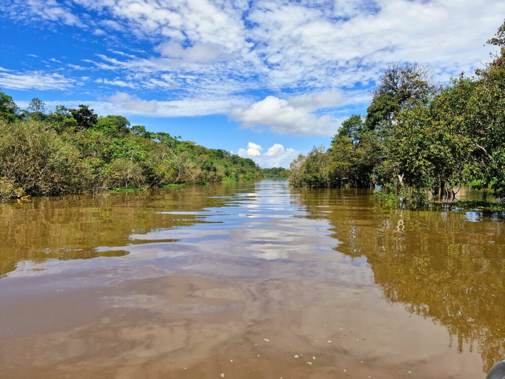 Amazônia - Amazonas/AM