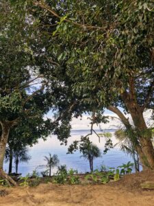 Amazônia - Amazonas/AM