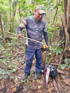 Amazônia - Amazonas/AM