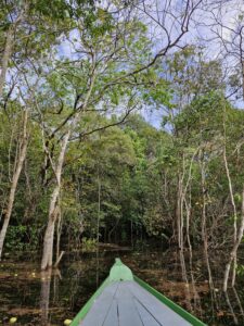 Amazônia - Amazonas/AM