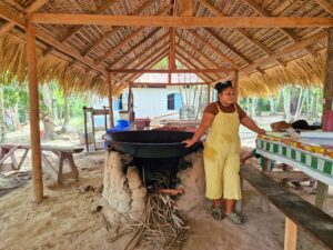 Amazônia - Amazonas/AM