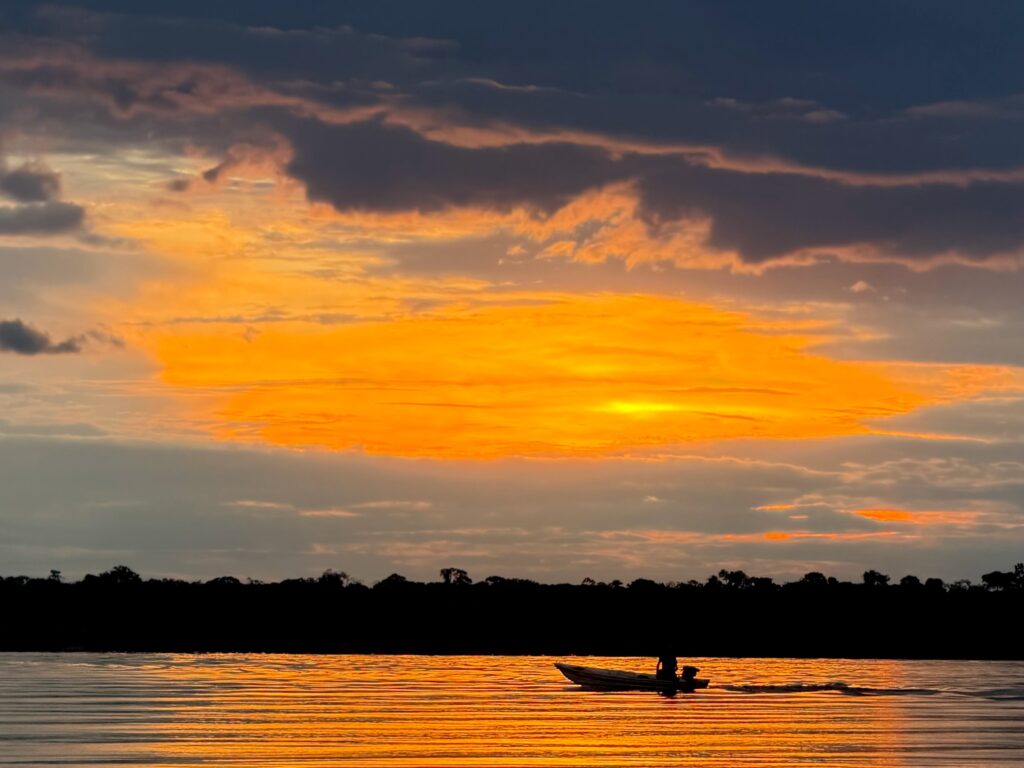 Amazônia - Amazonas/AM